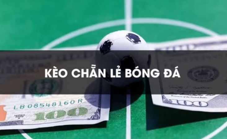 Cấp độ cao nhất là Bet999 - Bet999