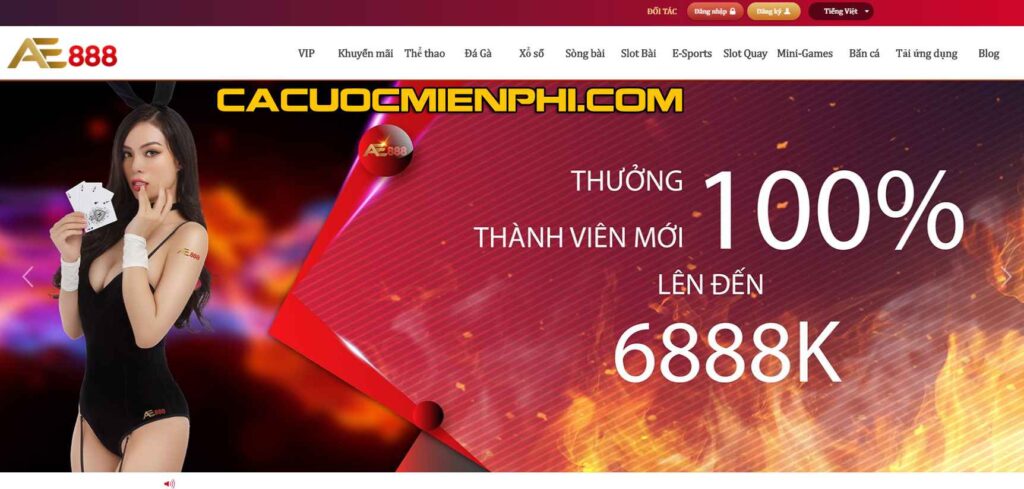 Sodo có những ưu điểm gì giúp nó đánh bại các đối thủ cạnh tranh? - Sodo