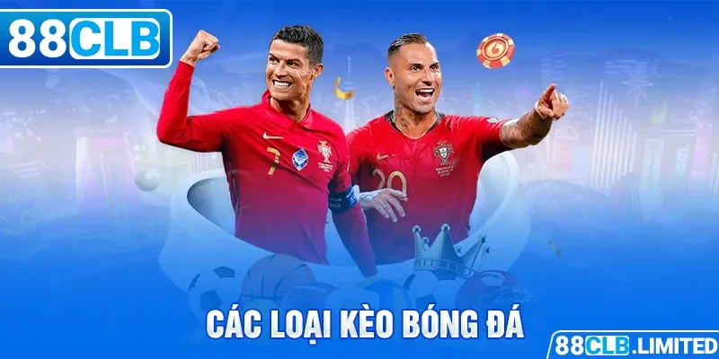 Thăng cấp người chơi cấp Vb66 - Vb66