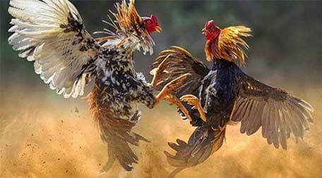 Hãy liệt kê những kiệt tác đã làm nên tên tuổi của các tựa game xếp hạng Good88 - Good88