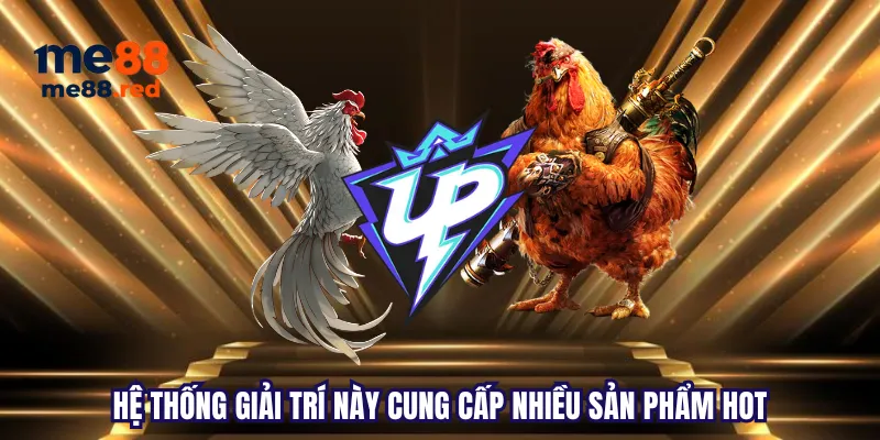 Câu hỏi thường gặp về các hoạt động khuyến mãi của F88bet - F88bet