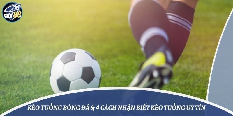 Tổng quan dữ liệu Xx88 tháng 11 năm 2026 - Xx88