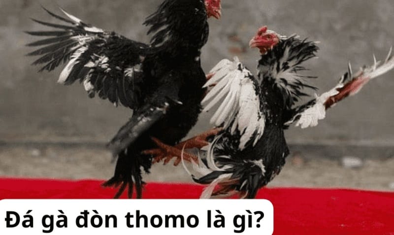 V6bet là một trò chơi câu cá trực tuyến rất phổ biến với phần thưởng hậu hĩnh - V6bet