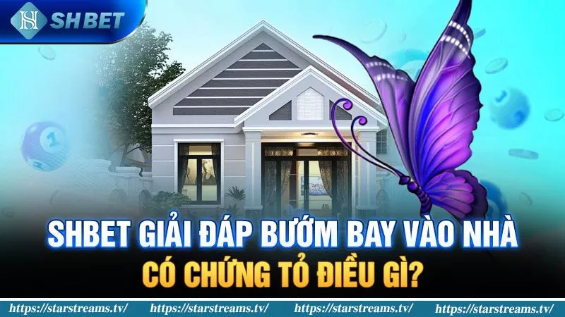 Cả ba khu vực đều được đưa vào chương trình xổ số – cấp độ 68Win, và quy trình diễn ra cực kỳ nhanh chóng! - 68Win