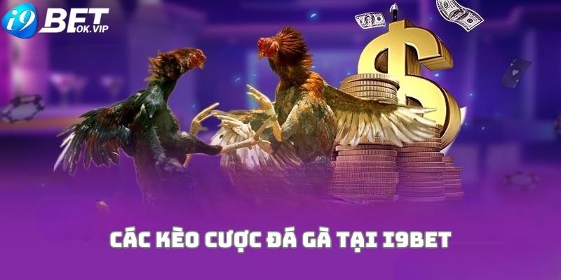 Các đặc điểm chính của ngày tháng năm (YYYY) - Letou