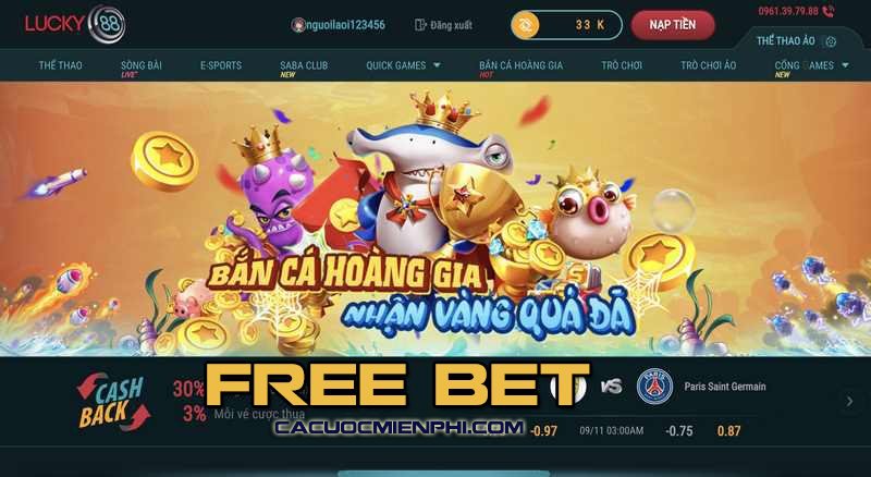Thành viên VIP Benbet được phân loại theo thành phố - Benbet