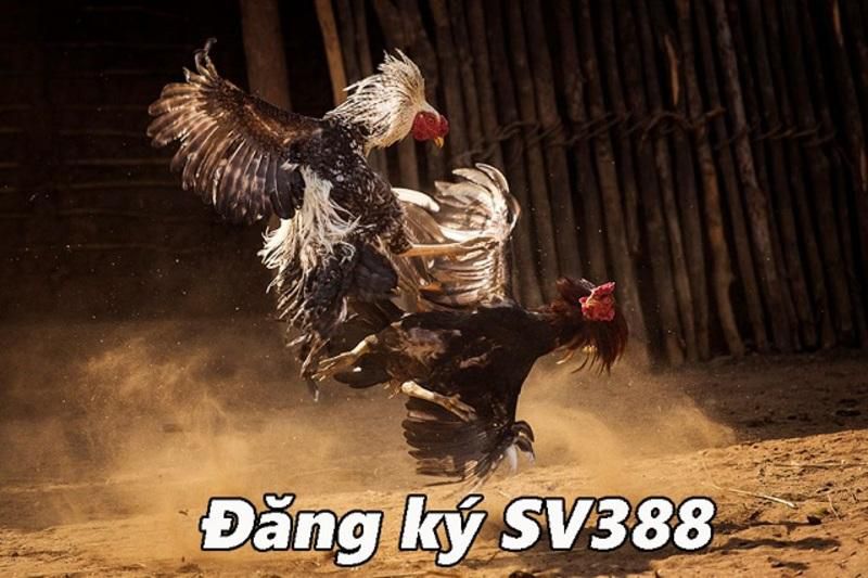 Tải xuống V7bet Club phiên bản iOS Apk, Android và PC - V7bet