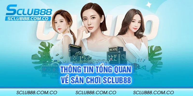 Kimsa88 cung cấp dịch vụ tốt nhất - Kimsa88