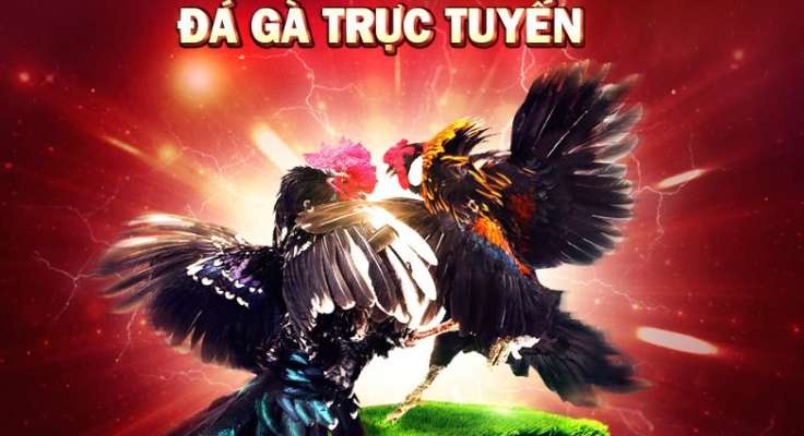 Bài đánh giá chi tiết và toàn diện về trang web game Vn6 - Vn6