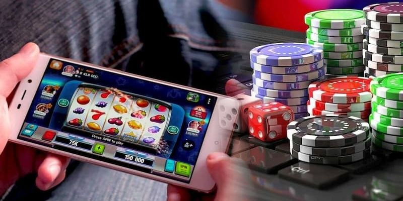 Gà chọi cấp 168Vn có những ưu điểm gì thu hút người chơi? - 168Vn